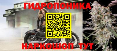 Альфа ПВП Будённовск