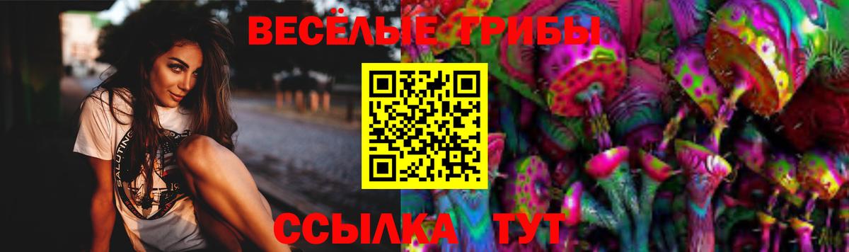 Котовск  Галлюциногенные грибы Magic Shrooms  купить наркотик  Вход с VPN 